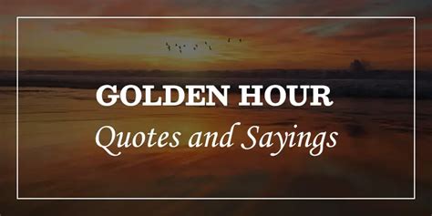 64 Golden Hour Quotes - DP Sayings