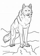 25 Free Wolf Coloring Pages For Kids And Adults  Blitsy sketch template