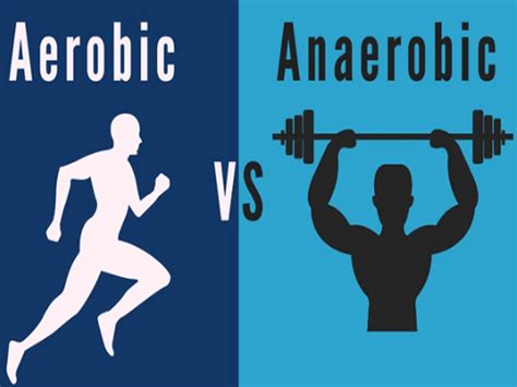 Aerobic Vs Anaerobic Exercise - Saachi Baat