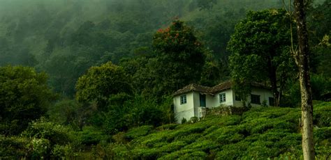 How To Reach Wayanad By Rail, Road or Air