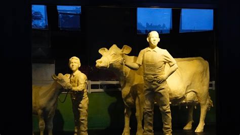 Ohio State Fair 2022 butter cow sculpture sets new record