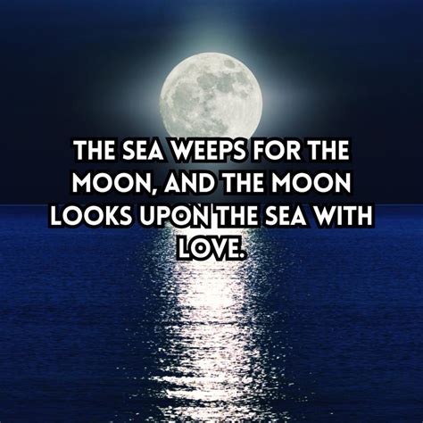 75+ Captivating Moon and Sea Quotes & Captions