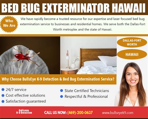 Bed bug exterminator Dallas identify and eliminate those pests rapidly - IssueWire