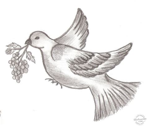 Pencil Sketch of Bird - Desi Painters