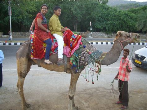 Camel Ride - India Travel Forum | IndiaMike.com