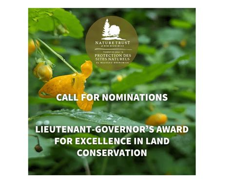 Our call for nominations for the 2023 Lieutenant-Governor’s Award is now open! - Nouzie