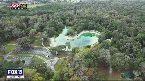 Hike, camp, swim, and explore at Lithia Springs Park