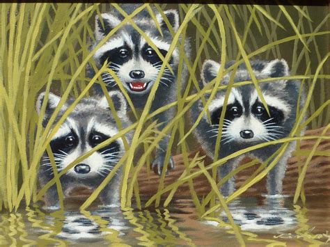 Wildlife art oil painting of three cute raccoons from dg on Ruby Lane