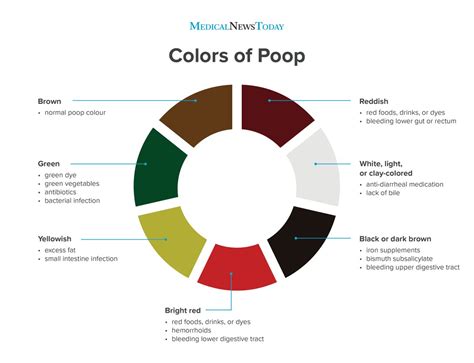 free 7 sample stool color chart templates in pdf - 9 stool color chart samples examples ...