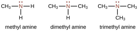 Amine Structure