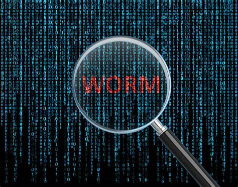 Computer Worms Stock Photos, Pictures & Royalty-Free Images - iStock