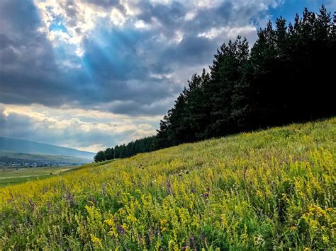 #Hike Dilijan National Park | itinari #shimonfly Motherland, Countries Of The World, Paradise ...