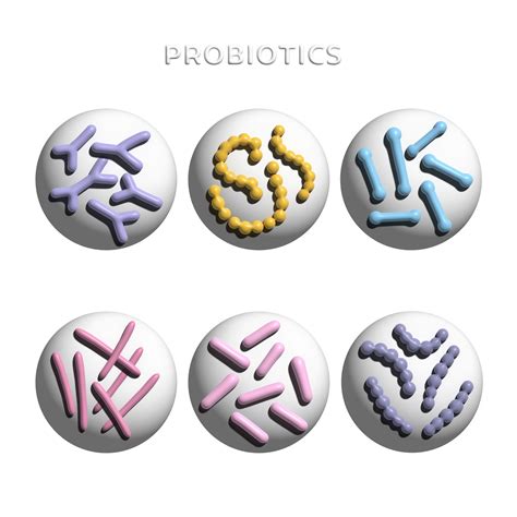 3d render Set of 3d render Probiotic Bacteria Bulgaricus, Lactobacillus ...