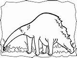 Mammals Coloring Pages And Printable Activities 1 sketch template