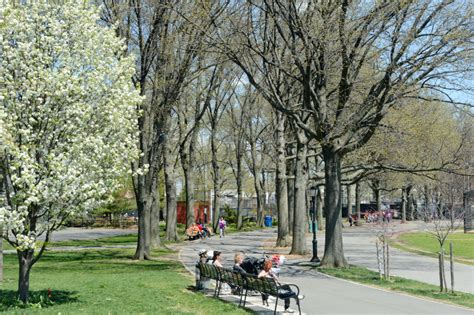 Marine Park : NYC Parks