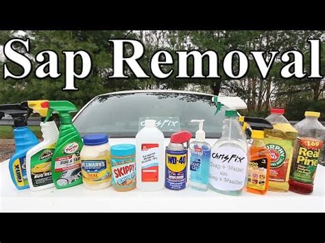 How To Remove Tree Sap From Your Car (5 Steps) - Felix Furniture