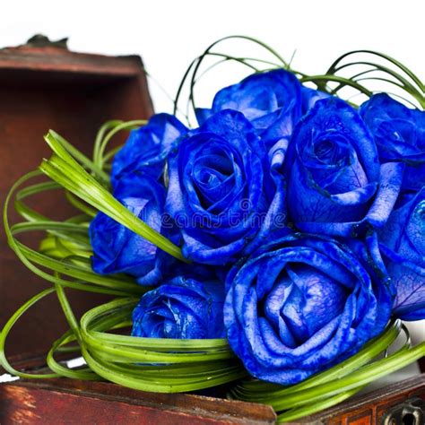 Blue roses bouquet stock image. Image of bridal, elegant - 35635595