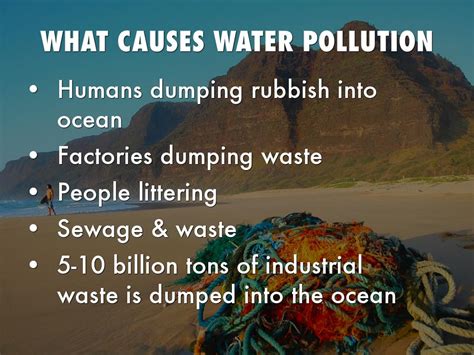 What Are The Causes Of Water Pollution : Check spelling or type a new query. - Srkrpcbolgpuu