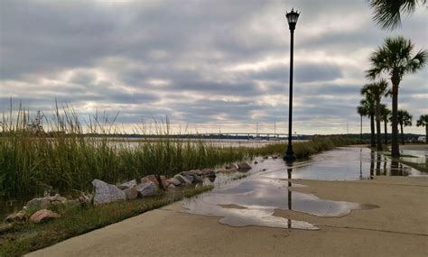 Flooding Tides - Glimpses of Charleston