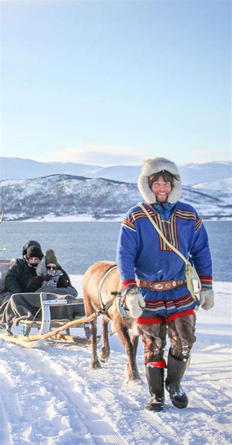 Reindeer & Sami culture – Best Arctic