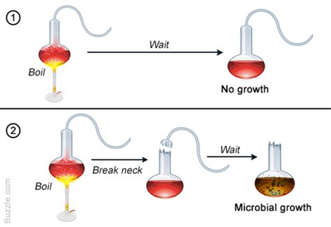 Spontaneous Generation timeline | Timetoast timelines