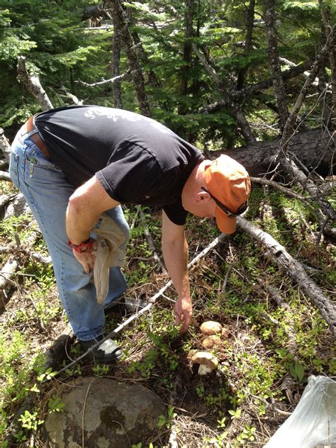 Mushroom Hunting in Oregon-Precious on the line again