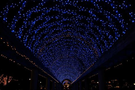 Christopher Columbus Park Lights | Christmas lights in Chris… | Flickr