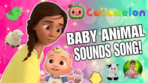 Old Macdonald | Views Count YouTube ( Learn Baby Animal Sounds ) Cocomelon - Nursery Rhymes 17 ...