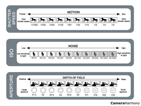 What is ISO?: A Detailed Guide for New Photographers – Camera Harmony