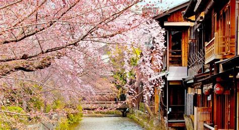 20 Best Japanese Ryokan Inns for a Blissful Stay in Kyoto | tsunagu Japan