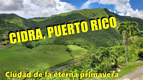 CIDRA PUERTO RICO - YouTube