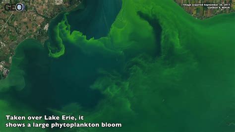 Satellite Image of a Phytoplankton bloom in Lake Erie - YouTube
