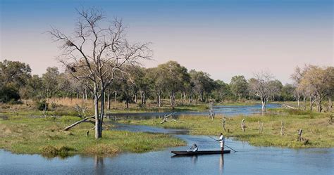 Khwai Bush Camp in Khwai Reserve near Moremi Game Reserve - Luxury safari in Botswana