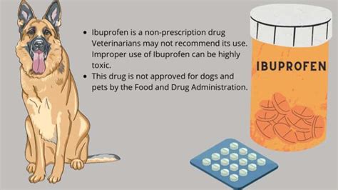 How much Ibuprofen is safe for dogs? - Side effects