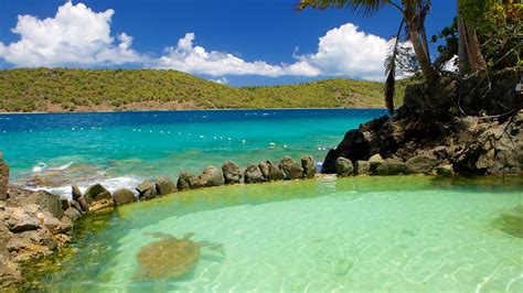 Coral World Ocean Park in St. Thomas, | Expedia.ca