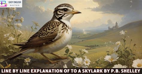 Line By Line Explanation Of To A Skylark By P.B. Shelley