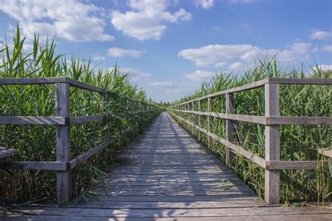 Get lost (briefly) in an Ohio corn maze - The Ohio 100