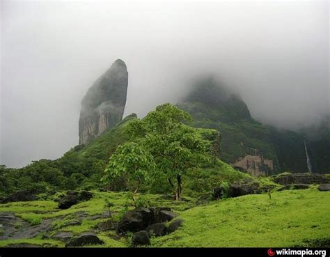 Chandoli National Park