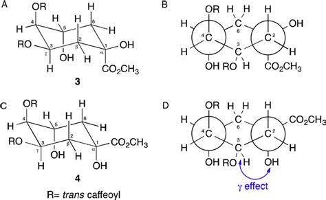 Cyclohexane Newman Projection