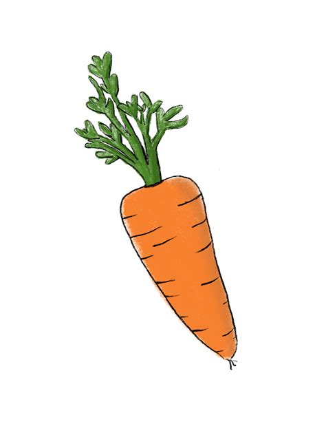 Drawing a Day, Day 4: CARROT – creolened.com