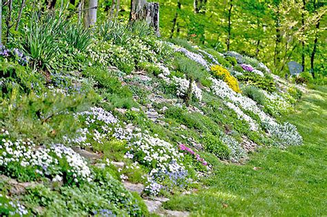 Native Hillside Gardening