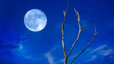 Blue Moon in 2023: When Is the Next Blue Moon? | The Old Farmer's Almanac