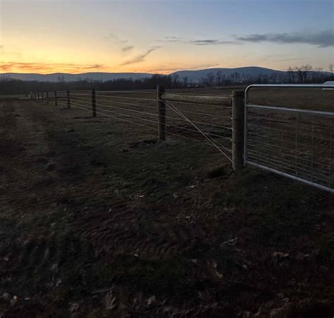 Electric Cattle Fencing in Thurmont, MD - ProFence LLC