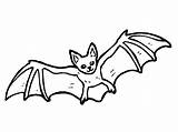 Halloween Bats Pictures  Coloring Home sketch template