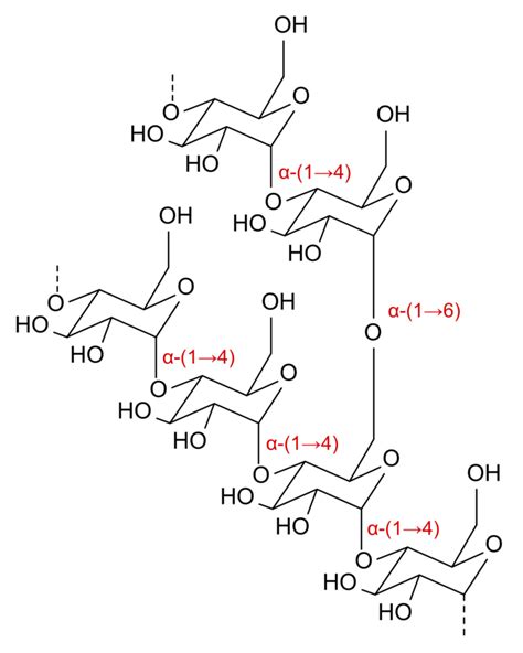 【マルトデキストリンについて:栄養学ログ】 | サラ理のブログ