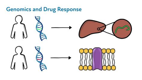 The Science of Pharmacogenomics - YouTube