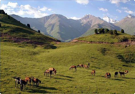 About Ferghana Valley