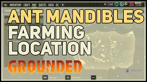 Grounded Ant Mandibles Farming Location - YouTube