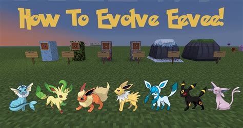 How To Evolve Eevee Into Vaporeon Pixelmon - howto