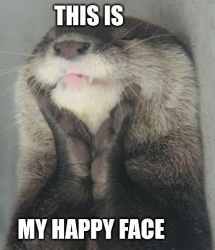 Otter Meme by GreenSkullplz on DeviantArt